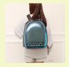 Transparent Space Capsule Pet Backpack for Cats & Small Dogs
