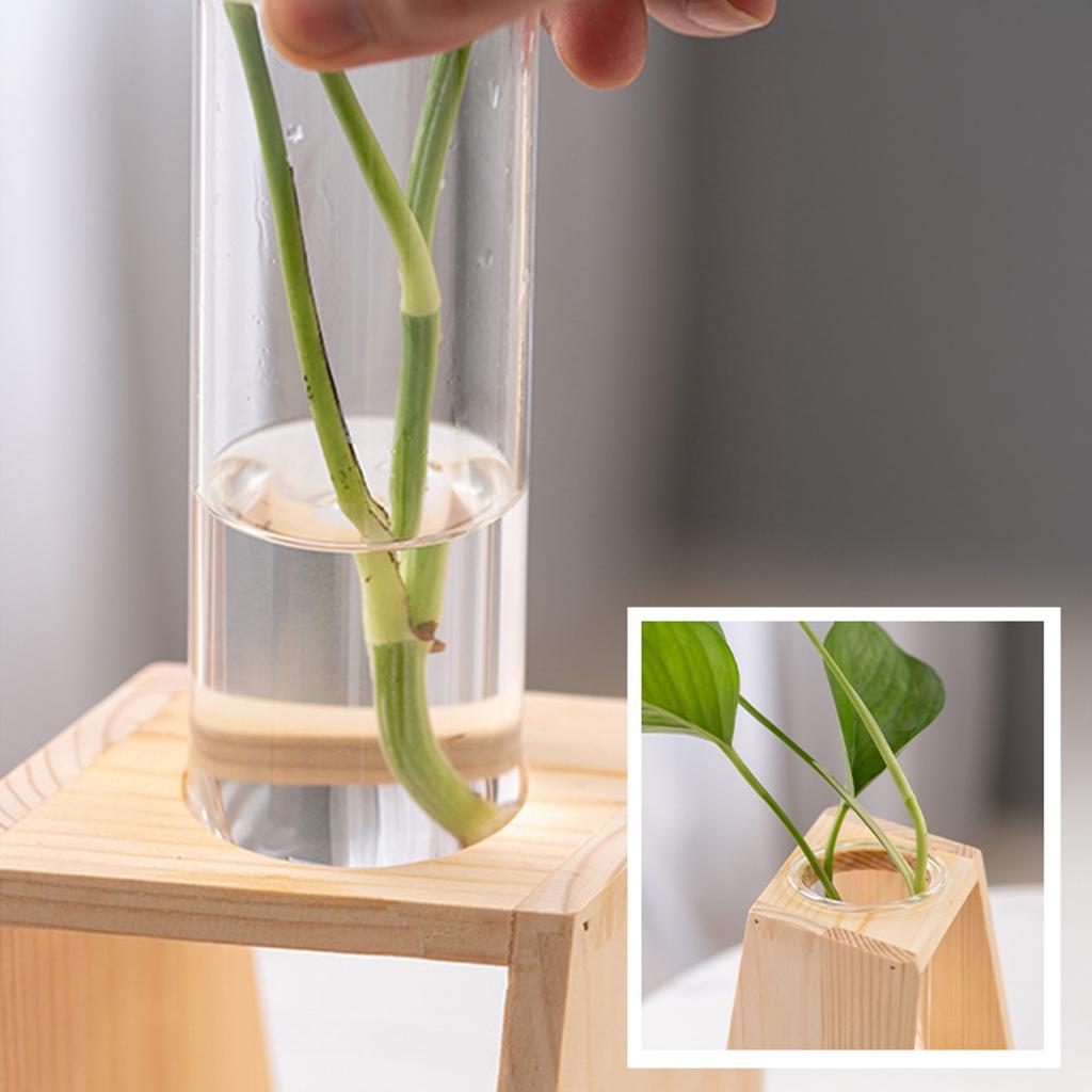 Hydroponic Glass Container Vase Jars Modern Simple Plants Terrarium Container Desk Decor Ideal Gifts for Families Friends