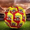 Go Ahead Eagles Print Maat 5 Voetbal, Standaard Wedstrijdvoetbal voor Sportwedstrijd en Teamtraining, Ideaal Cadeau voor Voetbalfans