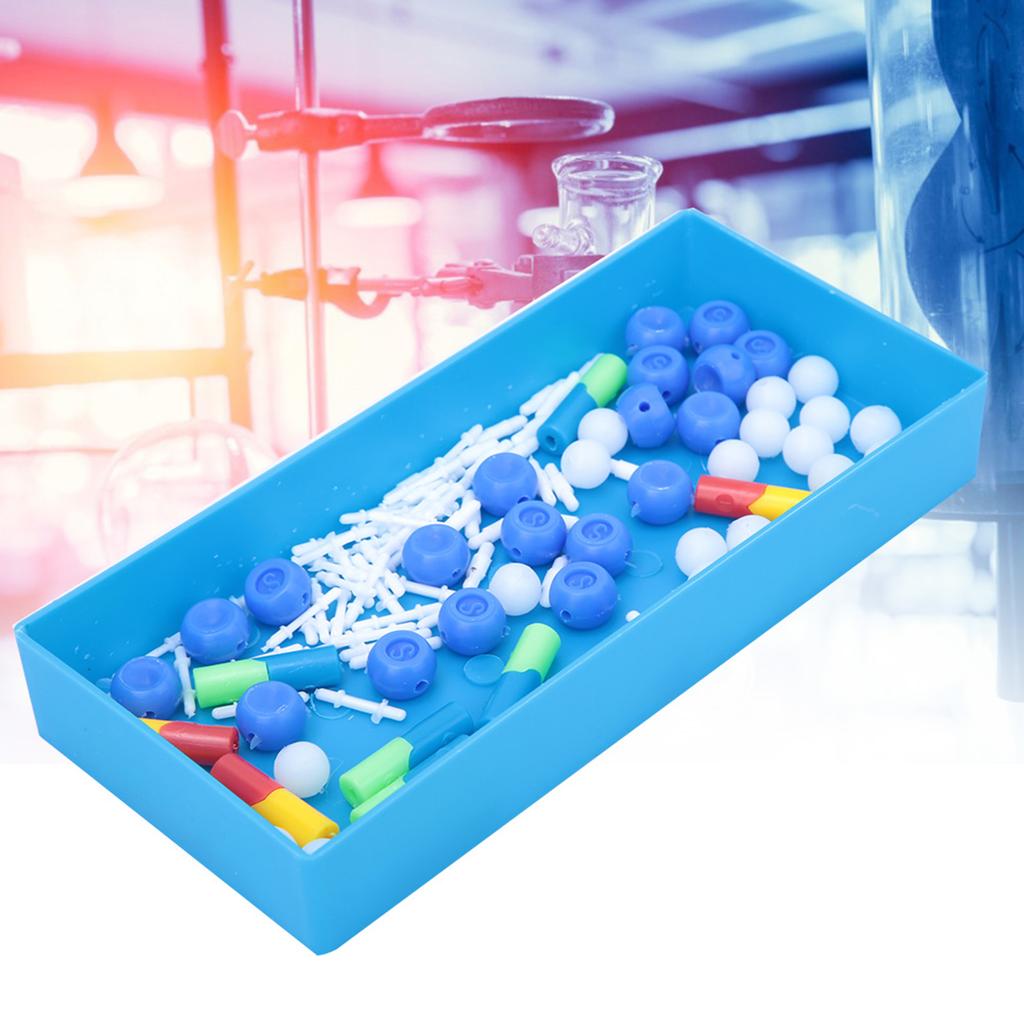 Science Educational Double Helix DNA Model Biological Molecular Teaching Aid InstrumentDNA Model