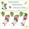 2pcs Extra Large Plant Watering Globes for Plants Plant Watering Devices Vacation Self Watering Globes with Slow Release Indoor Plant Watering Bulbs