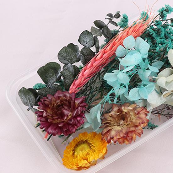 Useful Dried Flower Soft Pretty Decorative
