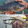 1000pcs/set Fishing Hooks 2/4/6/8/10# High Carbon Steel Treble Hook Set Fishing Tackle Fishing Equipment Soft Lure Holder Pesca