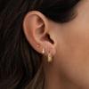 Elegant Gold-Plated Zircon Brass Earrings Set for Women