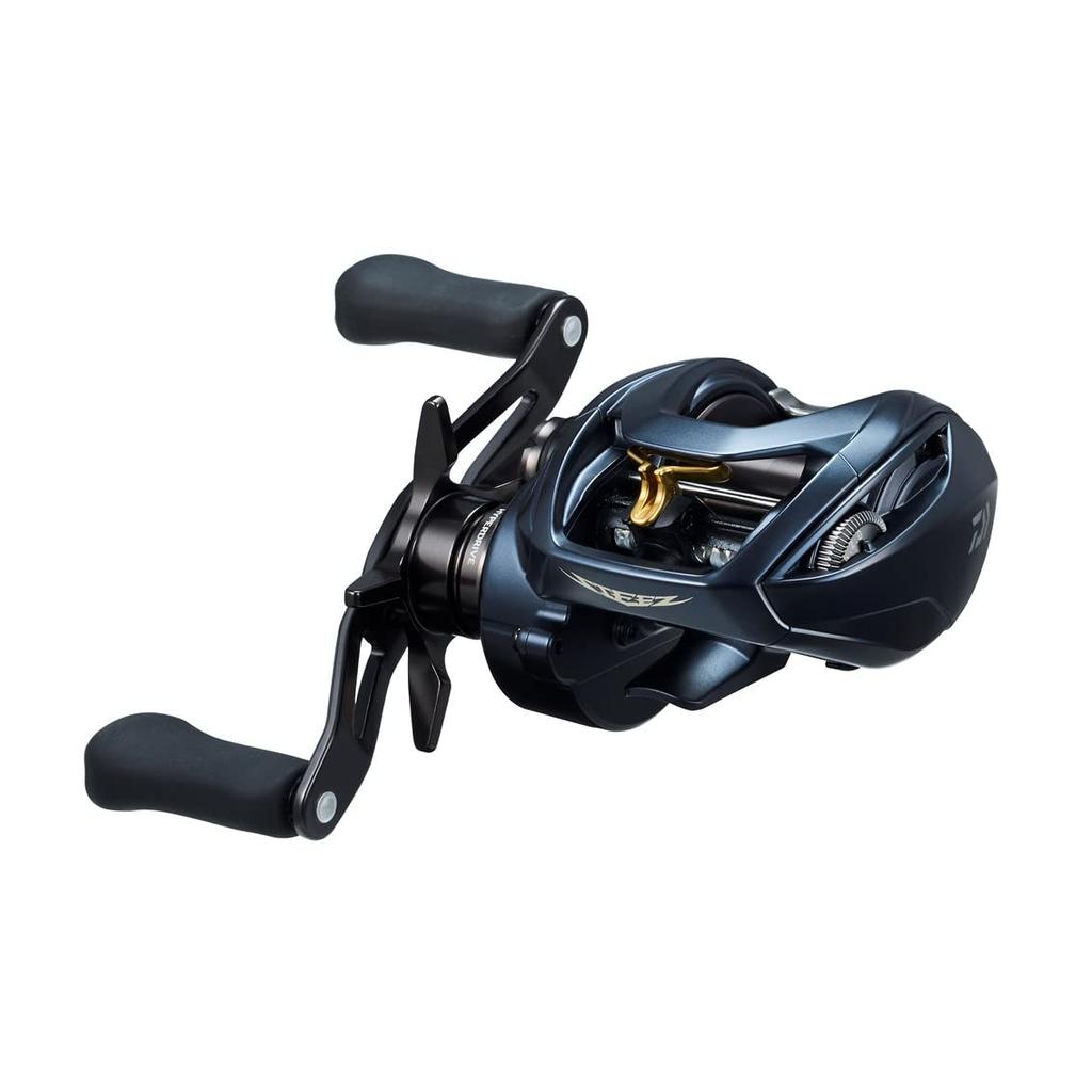 Daiwa STEEZ AII TW 1000XH Baitcasting Reel (2022 Model)