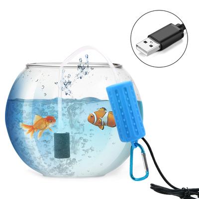 Poissons et animaux marins – Accessoires pour aquarium