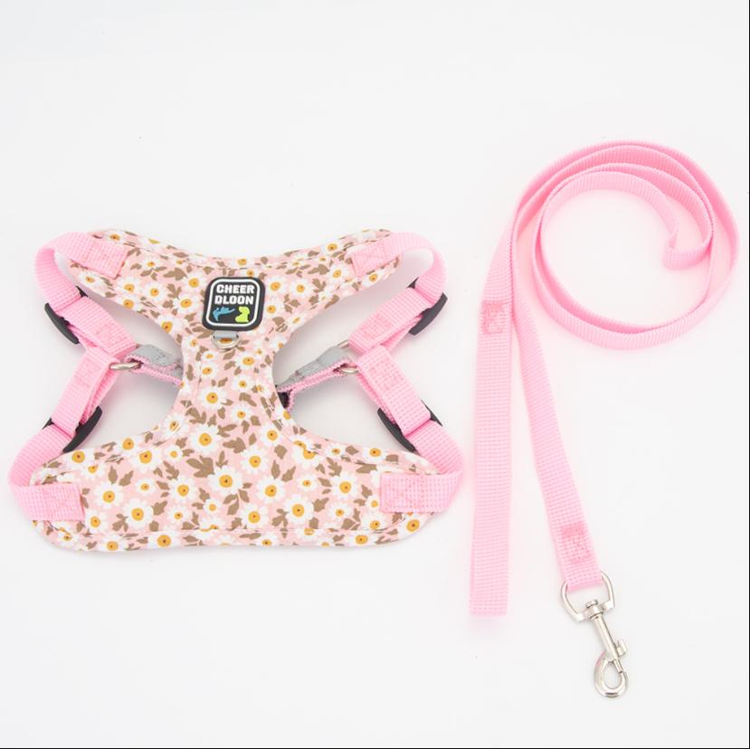 Sicheres atmungsaktives Hundegeschirr und Leinen-Set für kleine bis mittelgroße Hunde, Katzen Geschirre Weste Welpen Brustgurt