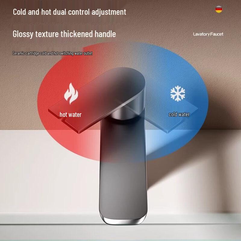 Gunmetal Grey Stainless Steel Single Cold Basin Faucet
