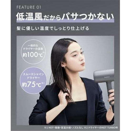 SALONIA Smooth Shine Dryer Large Airflow Fast Drying Lightweight Hair Gray