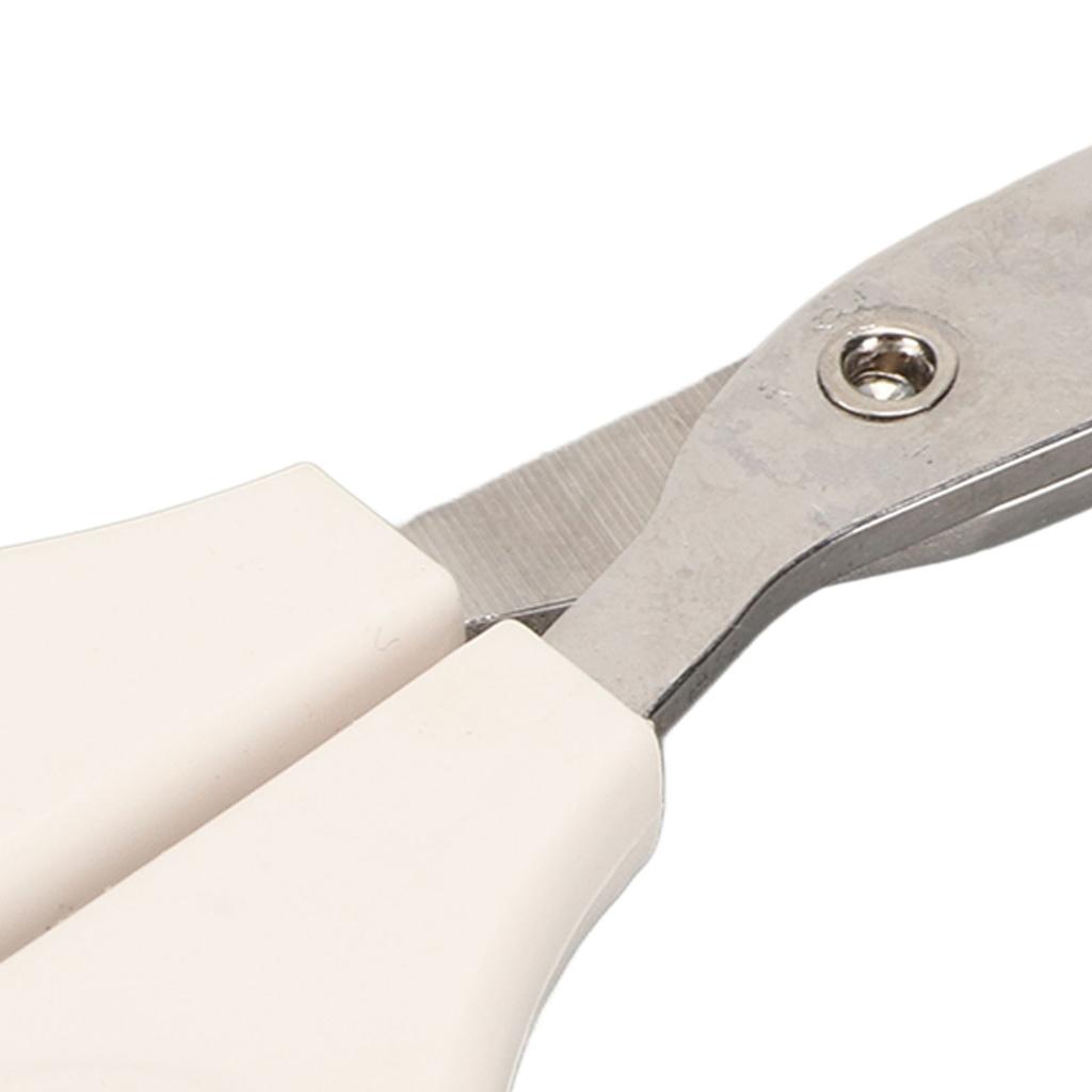 Tiernagelschere Professionelle Reinigung Schönheit Edelstahl Katzennagelschneider für Kleine Mittelgroße Große Katzen Haustiere