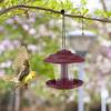 Durable Bird Food Container Waterproof Feeding Station Gazebo Shape Bird Food Dispenser Outside