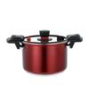 LIJIA KITCHENWARE Stainless Steel Micro Pressure Cooker