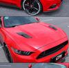 15-17 Ford Mustang Custom Hood Decoration Panel