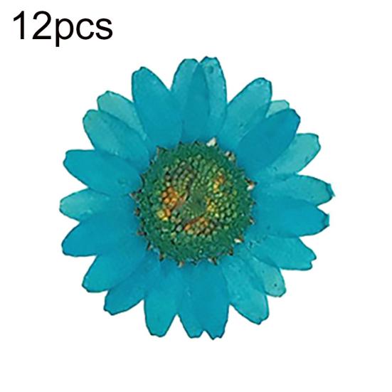 12 sztuk Prasowane Suszone Naturalne Kwiaty Żywica Epoksydowa Crafting Paznokci DIY Dekoracja Telefonu