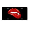 Sublimation Printed US Standard License Plate Metal Sign, 12x6 Inches, Hot-Selling Design