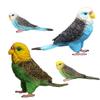 Animal Model Toy Set: Budgie Parrot for Children's Early Education and Cognitive Development