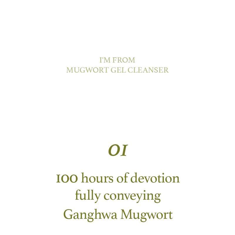 I'M FROM Mugwort Gel Cleanser