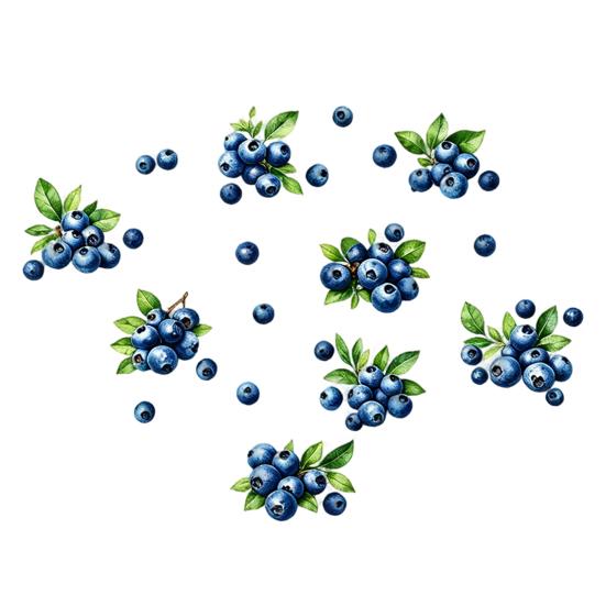 Watercolor Fruit Wall Stickers Blueberry Decals, Peel And Stick Fruits Stickers, Removable Boho Home Decor Art for Baby Nursery, Kids Bedroom, Living