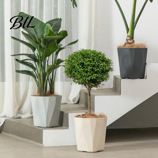 Contemporary Flower Pot Plant with Drainage Holes Decorative Planter Matching Saucer Modern for Indoor Outdoor Use Pothos Aloe