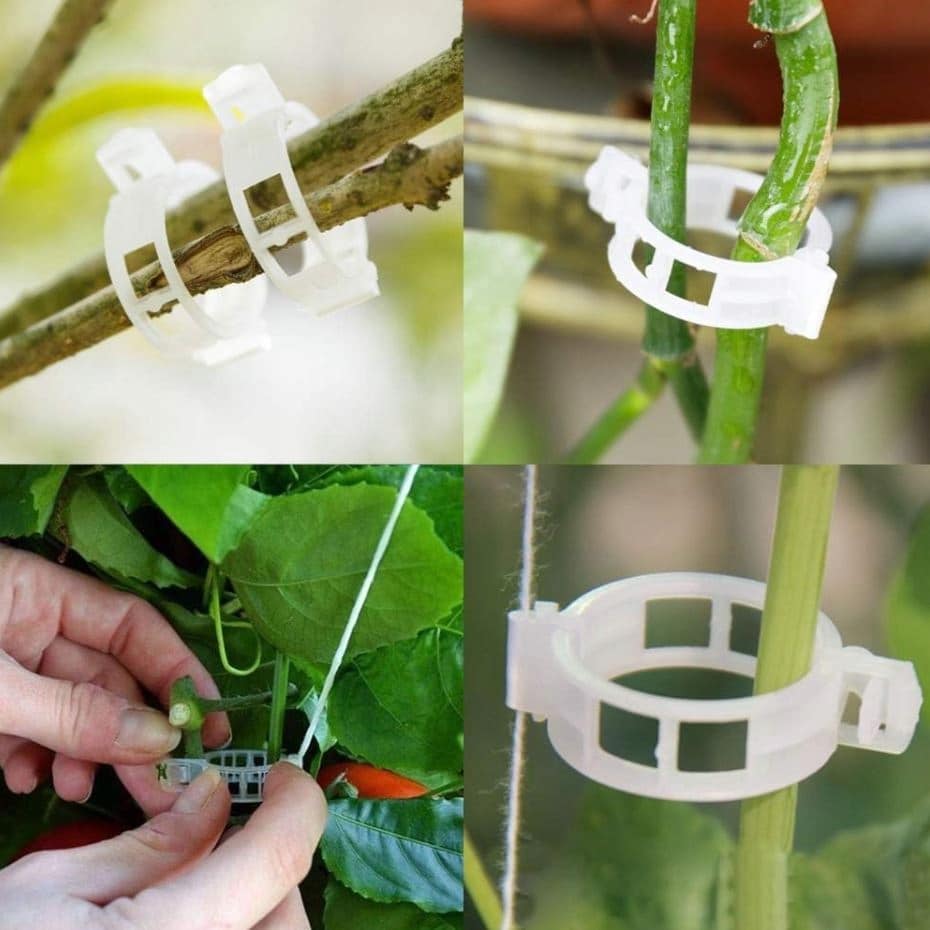 Clips for Tomatoes, Bean Plants, Shoots, 50 Pieces