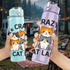 1PC Crazy Cat Lady Group 750ml Color Plastic Sports Water Bottle Leakproof Flip Straw Lid Suitable for Sports Office Home Use
