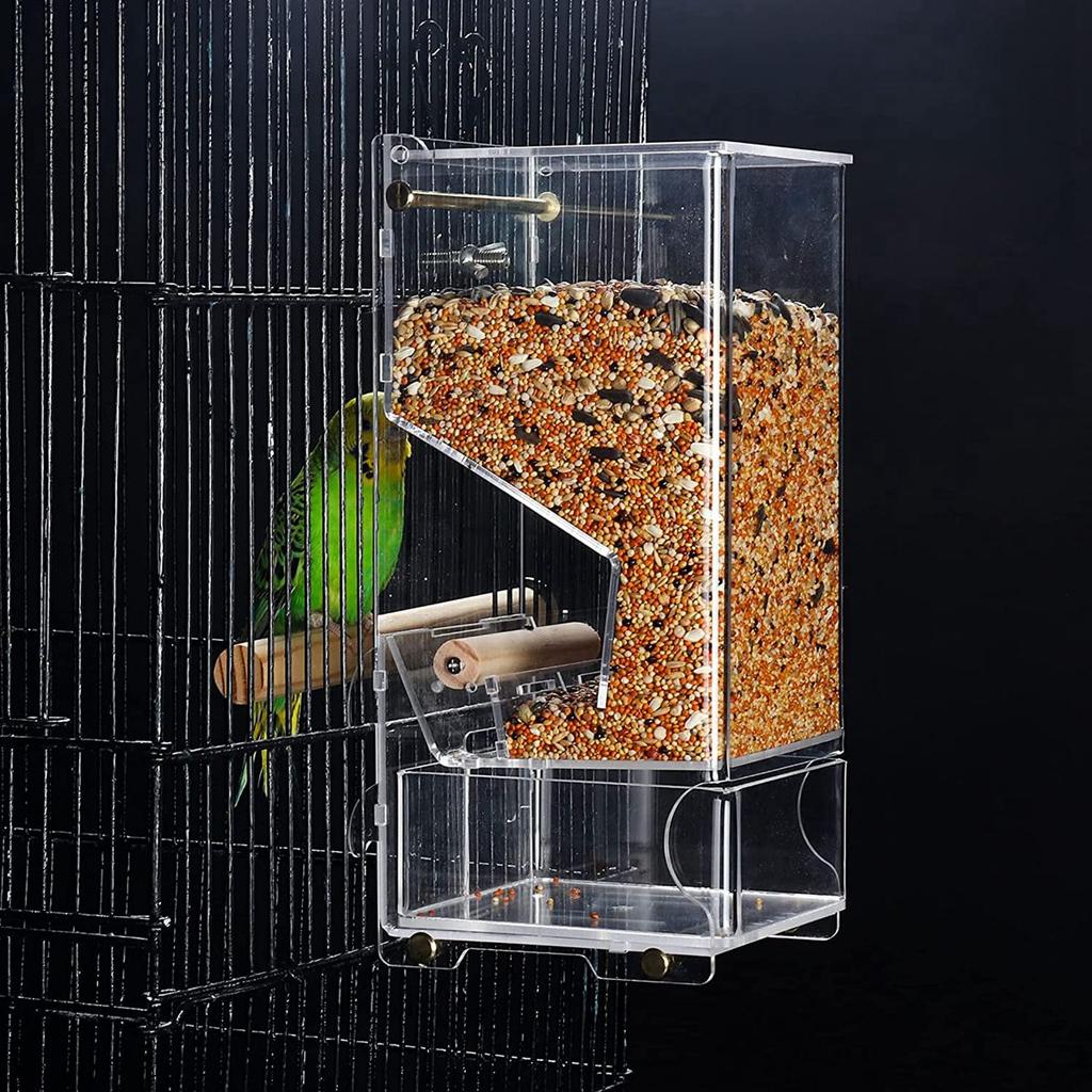 automatic bird feeder for parrots