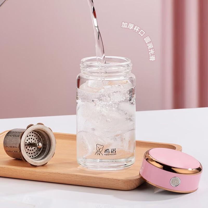Heenoor Double-Wall Borosilicate Glass Tea Infuser Bottle