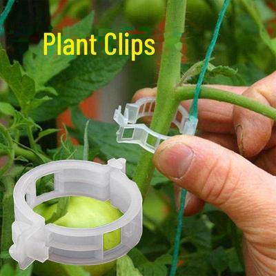 Clip di Fissaggio per Piante Verdi, Viti e Piantine per Peperoni e Melanzane