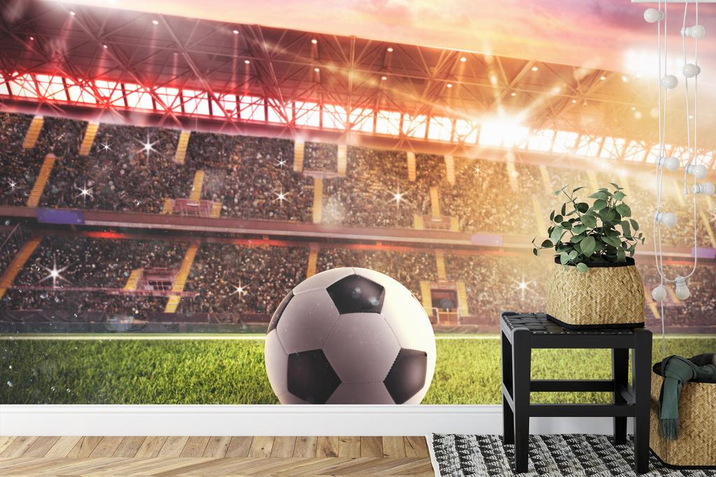 Photomural Soccer Ball In The Stadium Self-Adhesive Mural 312x219