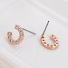 Elegant U-shaped Micro-inlaid Diamond Earrings for Girls - Cute & Stylish