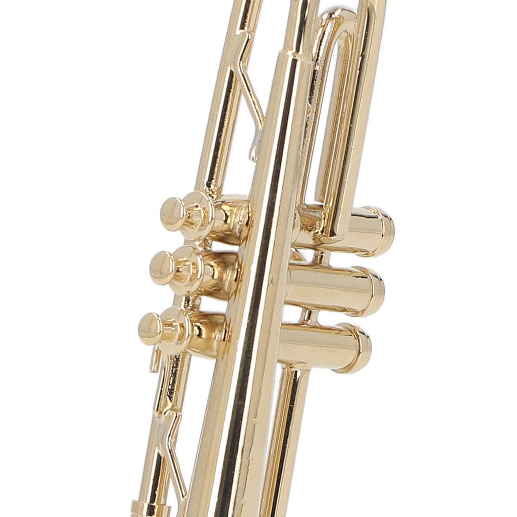 Ature Trompete Messing Exquisites Design Romantisch Trompetenmodell mit Ständer Koffer für Schreibtisch Bücherregal