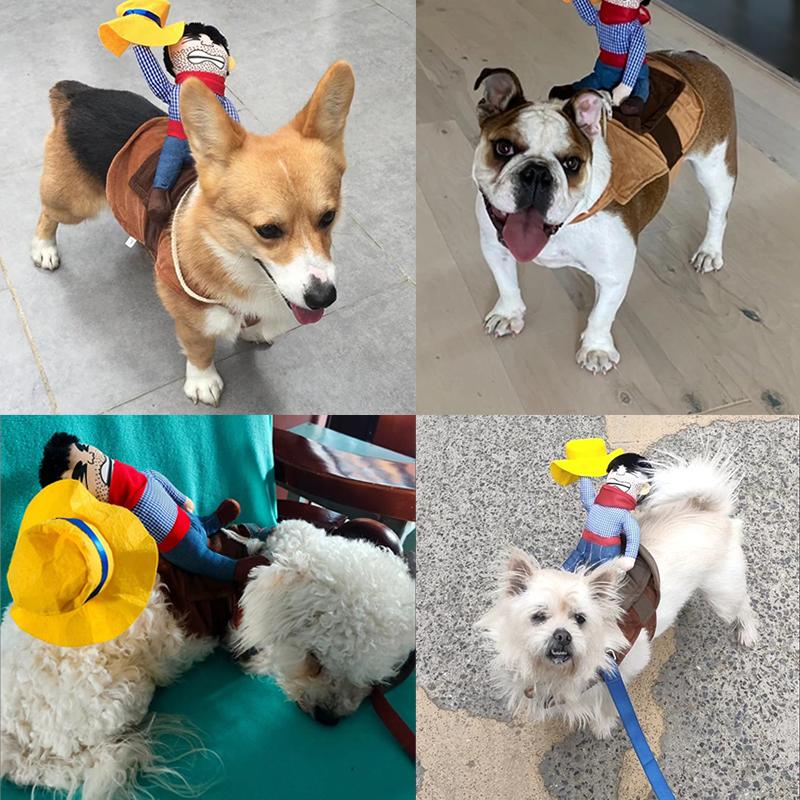 Halloween Dog Clothes Cosplay Set For Small Dogs Fashion Pet Costumes Cowboy Rider Puppy Apparel Chihuahua Yorkshire Dress up Supplies