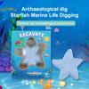 Handmade Starfish Marine Life Dig Kit with Gemstones Archaeological Excavation Science Toy for Boys & Girls Children's Gift