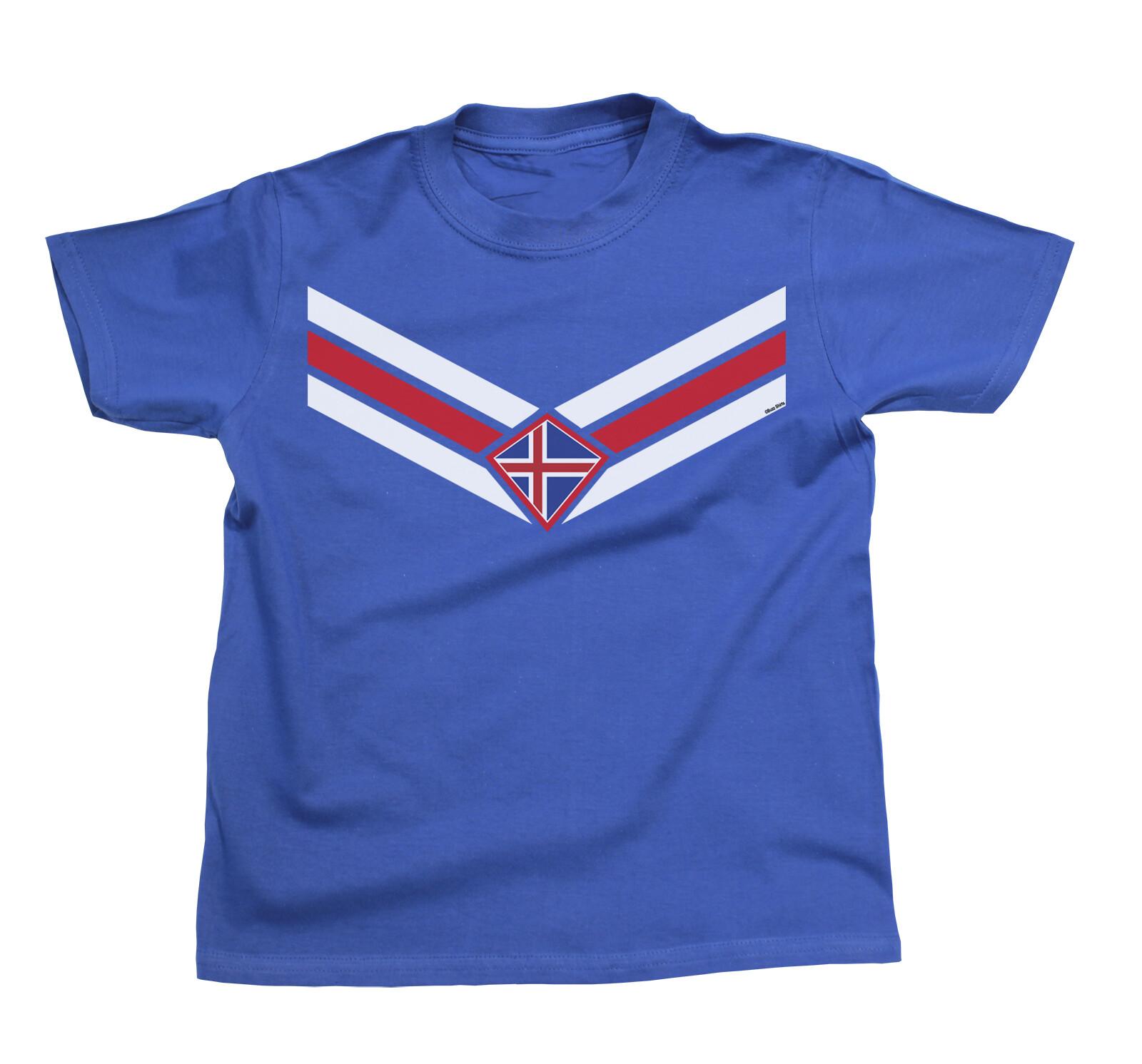 ICELAND Football TShirt 2024 V EMBLEM, Adults Or Baby, Island Icelandic Kit L