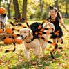 LED Purple Lights Halloween Pet Spider Costume Furry Pet Cosplay Costume  Halloween Party