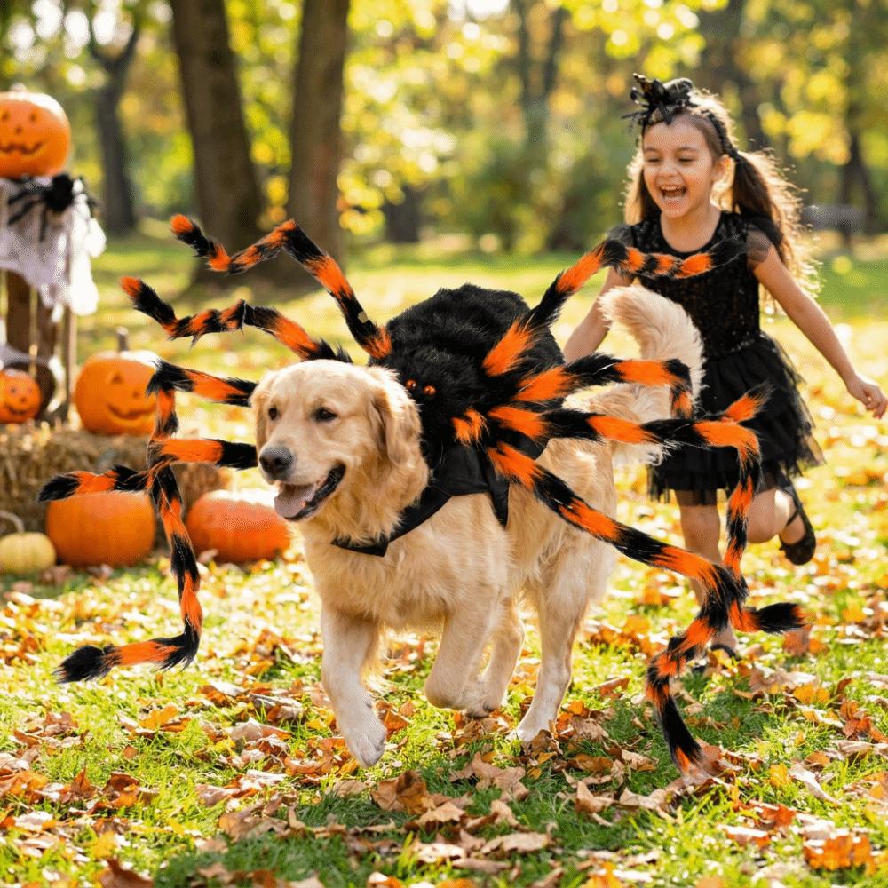 LED Purple Lights Halloween Pet Spider Costume Furry Pet Cosplay Costume Halloween Party