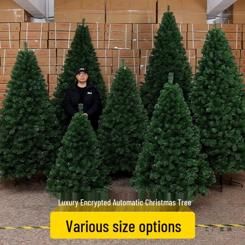 Large Encrypted Automatic Tree Ornament (1.5-3m)