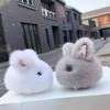 Mini Cute Rabbit Hairball Keychain Pendant Lovely Hanging Decorations Keyring Charm for Purse Bag Backpack Handbag