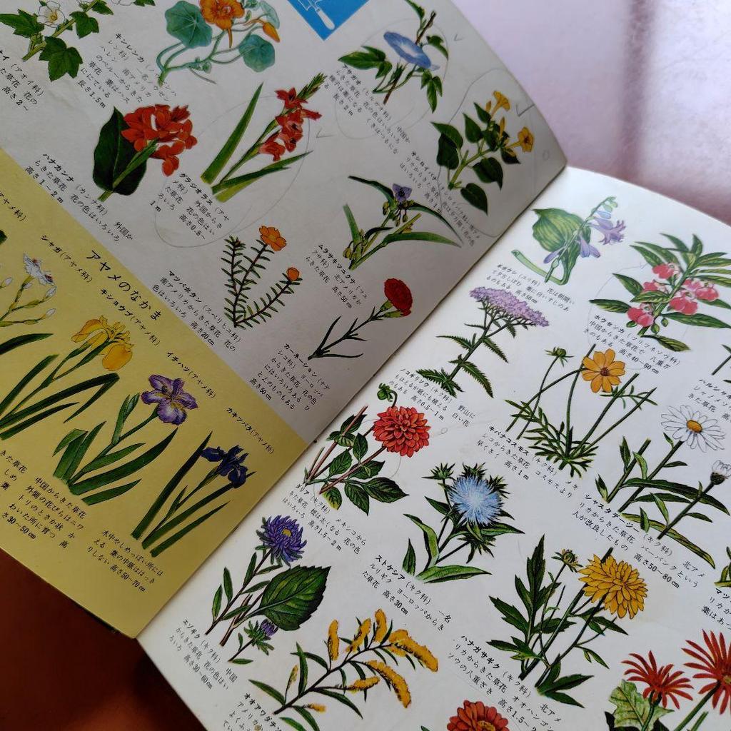 [USED] Shogakukan Learning Picture Book Series & New Learning Picture Book Series 3-Book Set