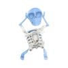 Educational DIY Skeleton Model Kit for Kids and Adults Fun and Interactive Anatomical Learning Toy, 3D Puzzle