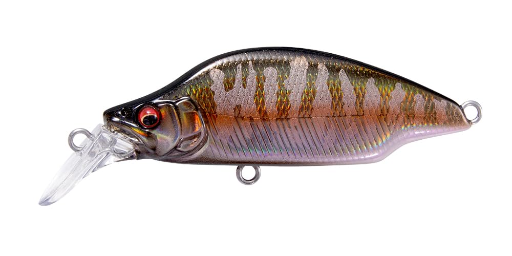 

GH52 BAT A FRY LZ Осенняя Галация