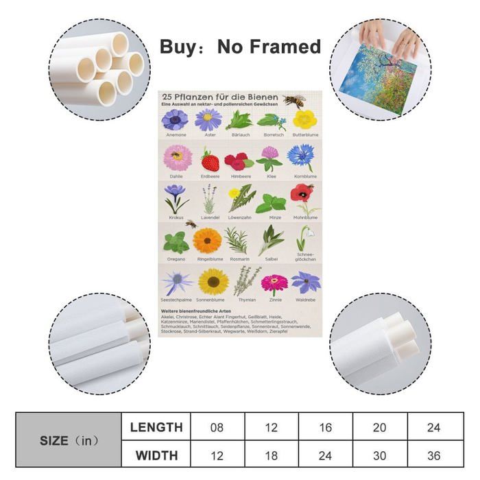 Samsung Galaxy A56 5G 8 Go/256 Go Noir (Awesome Graphite) Double SIM SM-A566