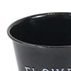 Chic Metal Planter for Contemporary Indoor And Outdoor Styling