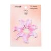 Brocade-Style Floral Sticky Notes: Cute, Fresh, Reusable, Irregularly Shaped Notepad Stickers