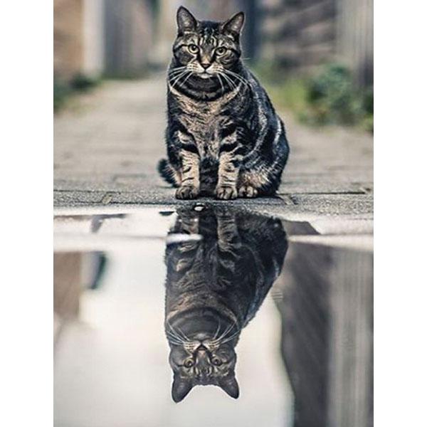 5D DIY Diamant Malerei Katze Strass Bild Diamant Stickerei Reflexion Tier Kreuzstich Mosaik Tiger Wandkunst