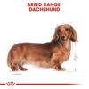 Royal Canin BHN Dachshund Adult Dog 7.5kg