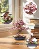 Robotime Rolife DIY Wooden Sakura Bonsai DIY Wooden 3D Puzzle Crafts Wooden Flower Gift for Mom Wife Friends