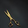 Beiyou Professional Engraved Haircutting Scissors