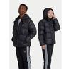 Adicolor Down Jacket