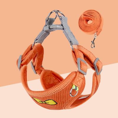 Köpek – Köpek Tasmaları ve Tasma Kayışları
